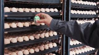 Petersime - Traceability module