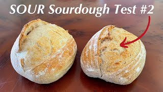 Does Rye Flour Make Sourdough Extra SOUR?