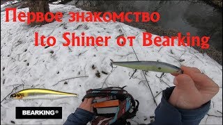 Первое знакомство с Ito Shiner от Bearking Ловля щуки на малой реке