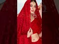 नेट की साड़ी खास शादी ब्याह के लिए | divya fashion | dadar market | mumbai saree shopping