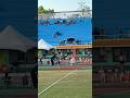🏆114年全中運|高女標槍決賽|桃園楊梅高中戴佑芩擲出52.61m勇奪金牌!|Girls’ Javelin Throw Final