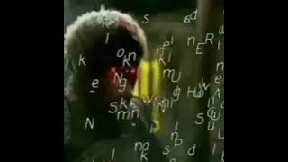 Kumpulan vidio story WA sun go kong KERA SAKTI