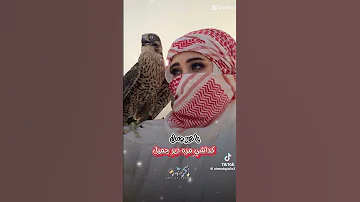 اغنيه يا دير جميل حالات وتس 