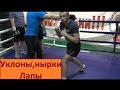 Бокс. Уклоны, нырки, лапы (Часть 10)