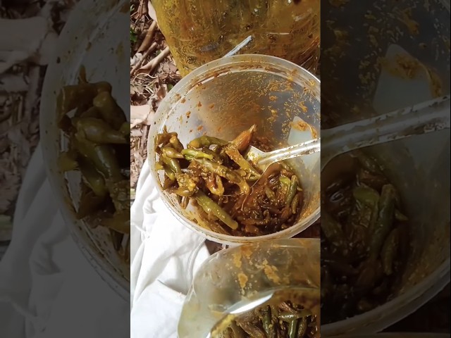 Kachnaar aur mirch ka achar #viralshort #achar #pickle #spices