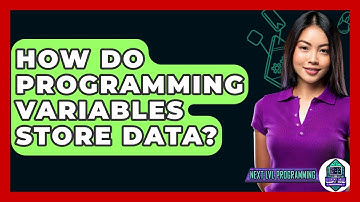 How Do Programming Variables Store Data? - Next LVL Programming