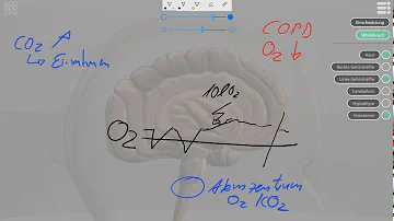 Ist die Sauerstoffsättigung bei COPD niedriger?