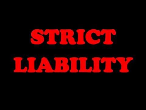 Image result for strict liability offenses