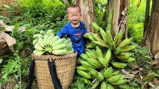 Huu Loc and his mother harvest bananas to sell at the market - How to make a simple bamboo swing