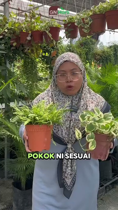Pokok Sesuai di DalamTandas