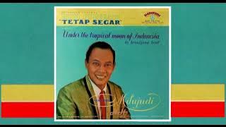 TETAP SEGAR ORCHESTRA (Penjanji. M. Sujudi) - Bulan Berkabut Sutra [1960s]