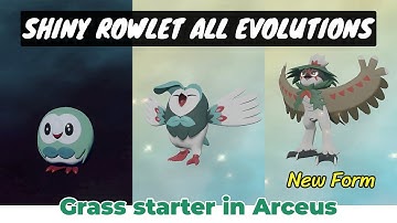 Shiny Rowlet Evolutions animation Datrix  Shiny Hisuian Decidueye Pokemon Legends Arceus