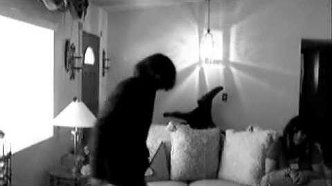 The Great Gatsby Project