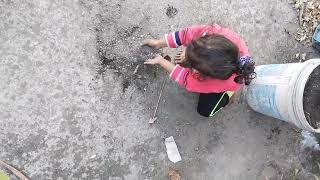 नकक गरडनग करत हई