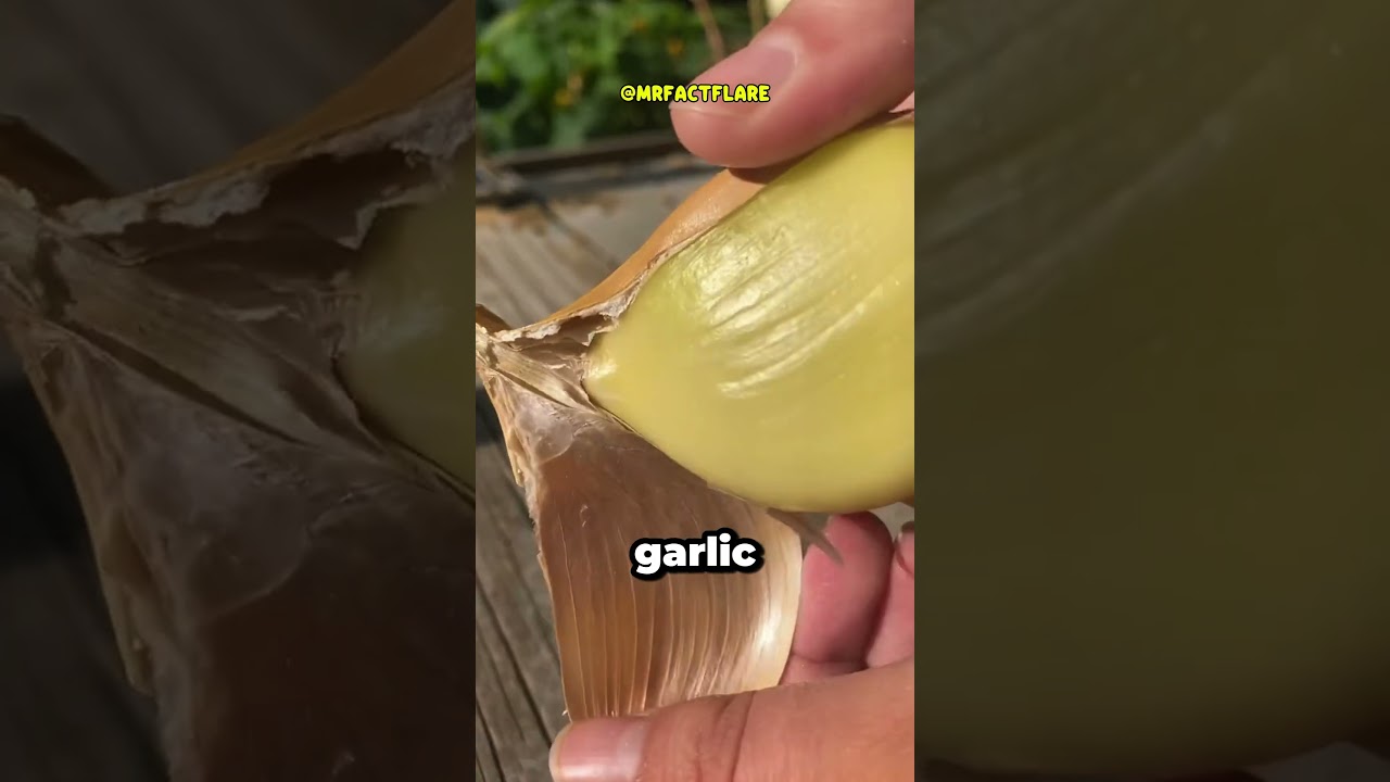 This Garlic Looks Like an Onion… But It’s Not!