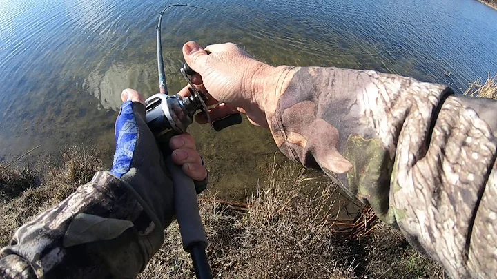 Leonard Pond Ep. 5
