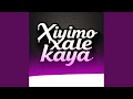 Xiyimo Xale Kaya Feat Hluli Bee Rsa