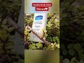 Skincare Tips|Vaseline Lotion|Dreamy Girl| Skin white|Hand and Feet Whitening Lotion #shorts #wow