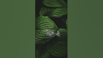 سورة الشورى || ياسر الدوسري || #قرآن #القرأن_الكريم #quran