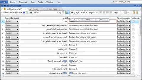 Translation Memory Part 3: Editing TM Databases