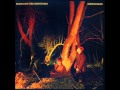 Echo & the bunnymen - Crocodiles (full album)