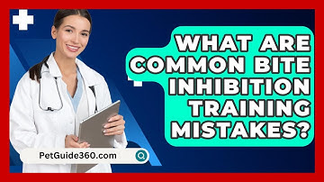What Are Common Bite Inhibition Training Mistakes? - PetGuide360.com