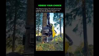 This Logging Machine Replaced an Entire Crew! 🌲🤯 #FutureTech