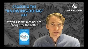 Immunity to Change conceptual walk through