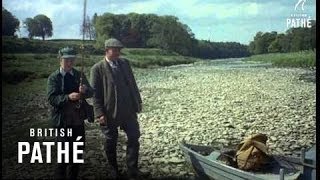 fly fishing 1955