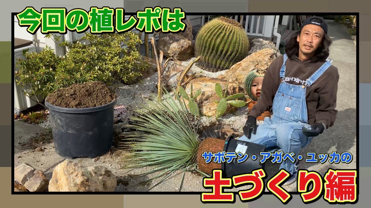 サボテン 多肉植物の土作り マニアック編 Youtube