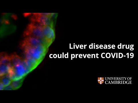 Liver disease drug could prevent COVID-19