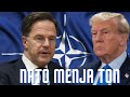HITNO – NATO sada moli za prekid vatre u Ukrajini!