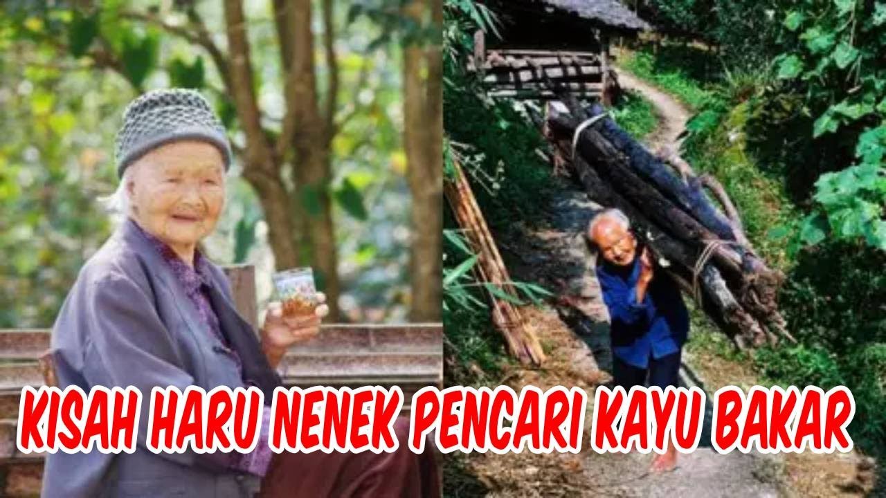 Kisah Haru Nenek Pencari Kayu Bakar  YouTube