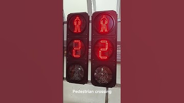 #countdown timer with pedestrian light#leddisplay #manufacturing #traffic signal light#roadsafety