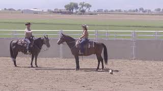 Cody Crow: Green Ranch Horse Sidepass