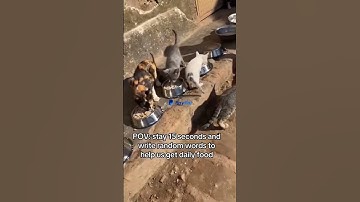 POV: Stay 5 seconds  and  donate or write random words to help us get food #nofool