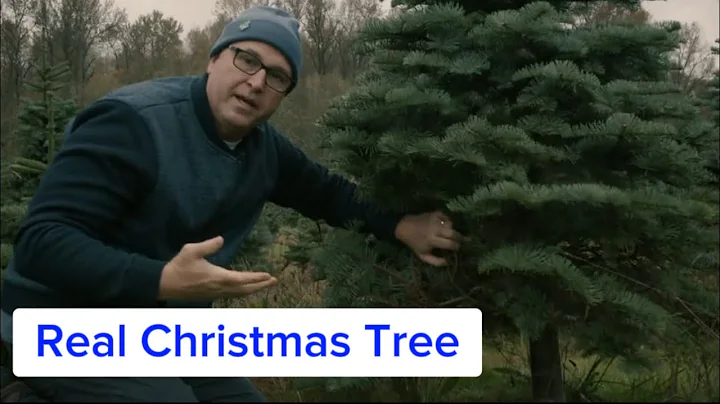 How to Cut a Real Christmas Tree