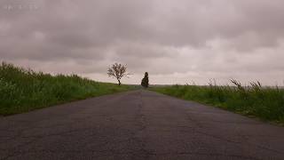 Relaxing Sounds of Light Rain and Soothing Wind Blowing Through Vegetation on an Abandoned Road - 4K by Relax Sleep ASMR 538,148 views 6 years ago 10 hours