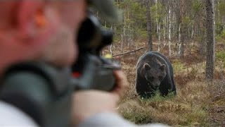 ОХОТА НА МЕДВЕДЯ  2017 - МЕДВЕДЬ ДОБЫТ ИЗ.... BEAR HUNTING