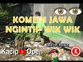 KOMEDI JAWA LUCU || NGINTIP WIK WIK