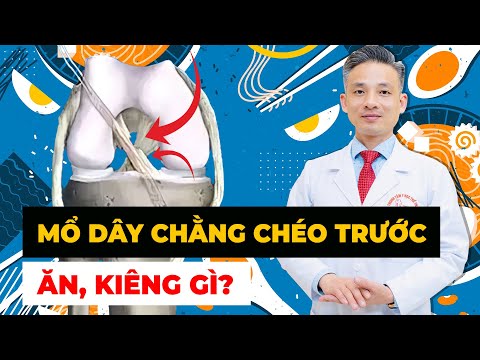 Video: Chu kỳ sống của vịt con