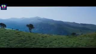 Nitin unte chalu neetho unte chalu song ekkadiki pothavu chinnavada movie