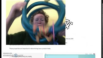 Lab 1.10 MNVA Bio Sem B DNA to protein