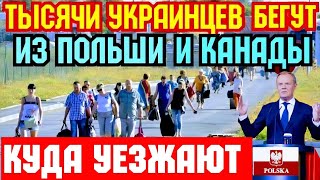 КУДА УКРАИНЦЫ УЕЗЖАЮТ из Польши и Канады ?!! ВЫБОР СТРАНЫ 🇪🇺