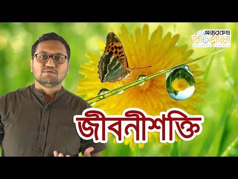 ভিডিও: পদার্থবিজ্ঞানে প্রতিসাম্যের ভূমিকা কী?