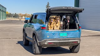 The Rivian R1S Is The Ultimate Dog Hauler