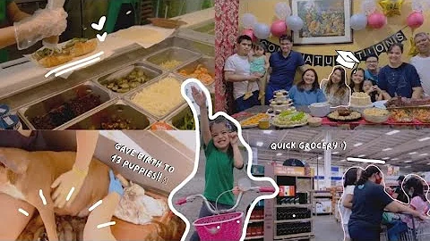 MOM LIFE VLOG: QUICK GROCERY RUN ~ MOMMA'S DOG GAVE BIRTH TO 13 PUPPIES! | MOM ROUTINE |MAICA LAUSIN