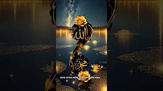 বিখ্যাত গজলটি শুনুন ভালো লাগবে #viralshorts #gazal #islamicshorts #SahilRazaQadri1