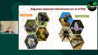 Comercio internacional de especies amenazadas. Autoridad científica CONABIO - CITES, México.