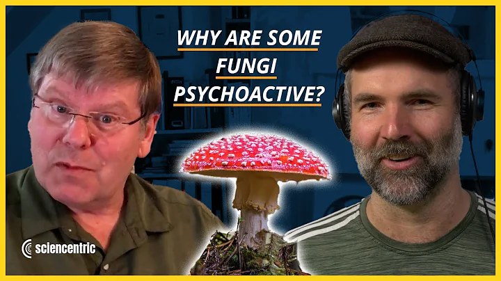 Why Do Some Fungi Cause Hallucinations? | Keith Se...